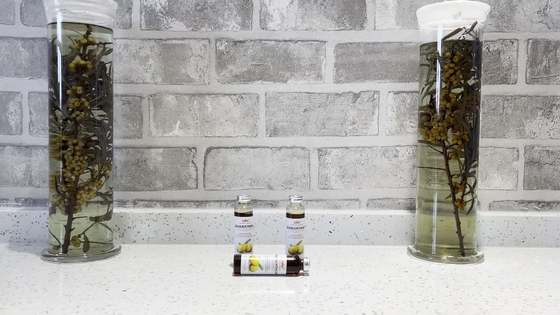 OEM veneuze gezondheid orale vloeistof verbetert de ademhalings-, cardiovasculaire en cerebrovasculaire gezondheid