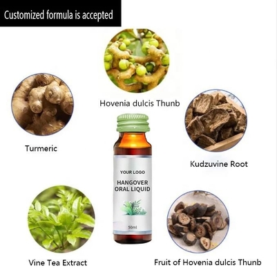 Anti-alcoholische kruiden Hovenia Dulcis Radix Puerariae-extract Veganistische katerdrank OEM ODM