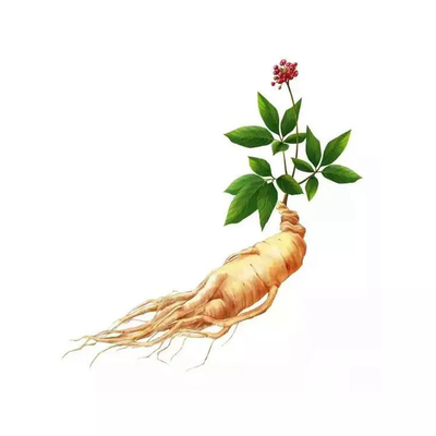 Fabrieksleverancier Thailand Black Ginger Powder OEM-capsule en -tabletten voor de gezondheidszorg voor mannen