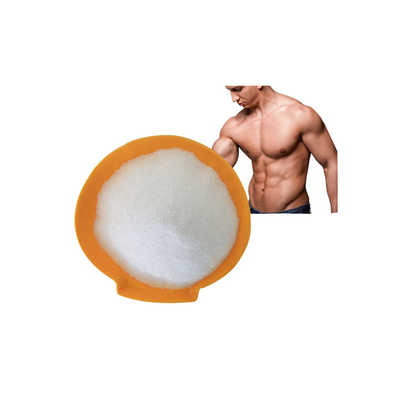 OEM vult micronized van het de capsules bulkcapsules van 60/200 netwerk van het creatinemonohydraat de creatinemonohydraat aan