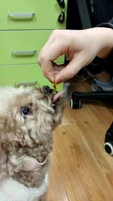 OEM Voedings het Supplementvistraan van de Huisdierengezondheid voor Honden en Katten Omega 3
