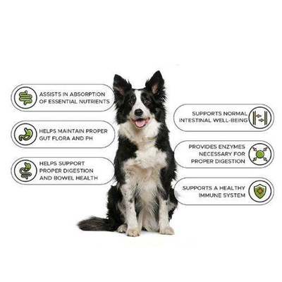 OEM Natur van de de Opleidingsaanwinst van Huisdierennutrit van het de Tabletsupplement van de de Gezondheidsspier van de de Aanwinstenbouwer het Eiwitsupplement van Dog Weight Gain