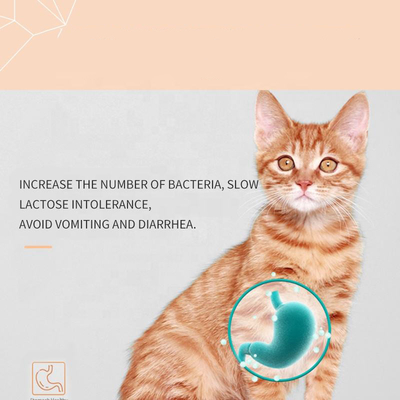 Katjesoem Cat Milk Supplement de Supplementen van de Huisdierengezondheidszorg
