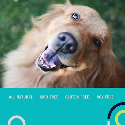 Multivitaminen Voedingssupplementen voor huisdieren Graanvrij OEM Dagelijks probiotisch supplement voor honden