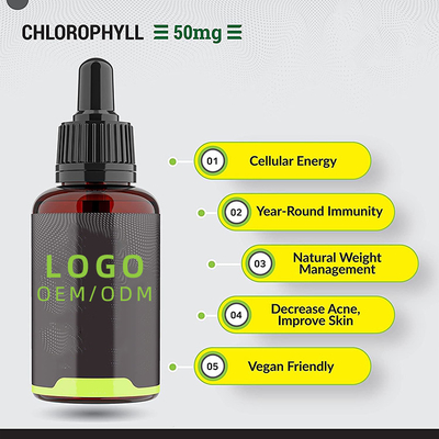 OEM/ODM Chlorofyl Vloeibare Druppels Voor Water Pepermunt Op smaak gebracht Voor Huid Gezondheid Immuun Ondersteuning Energie Supplement