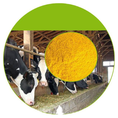De Vrouwen Voedingssupplementen van de vitaminee Olie voor Mannen en van Vrouwen Gezondheid