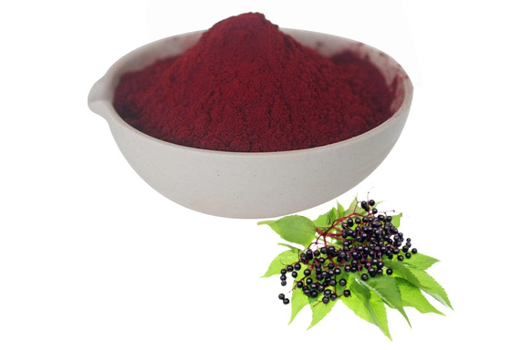 Vervaardiger Levering Warm verkoop Wateroplosbaar Instant Elderberry Juice Poeder Fruitpoeder